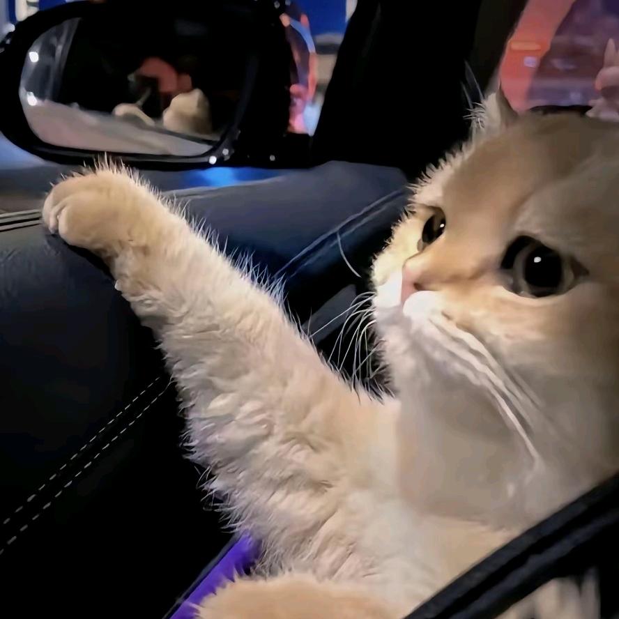 拥有比放弃更自私。