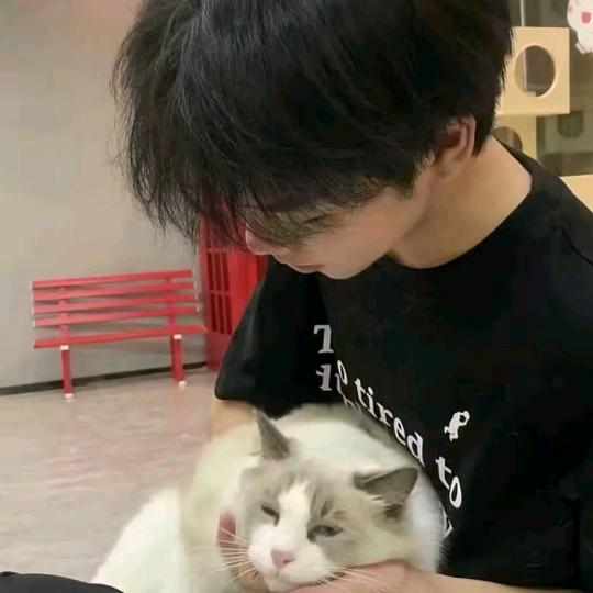 但愿