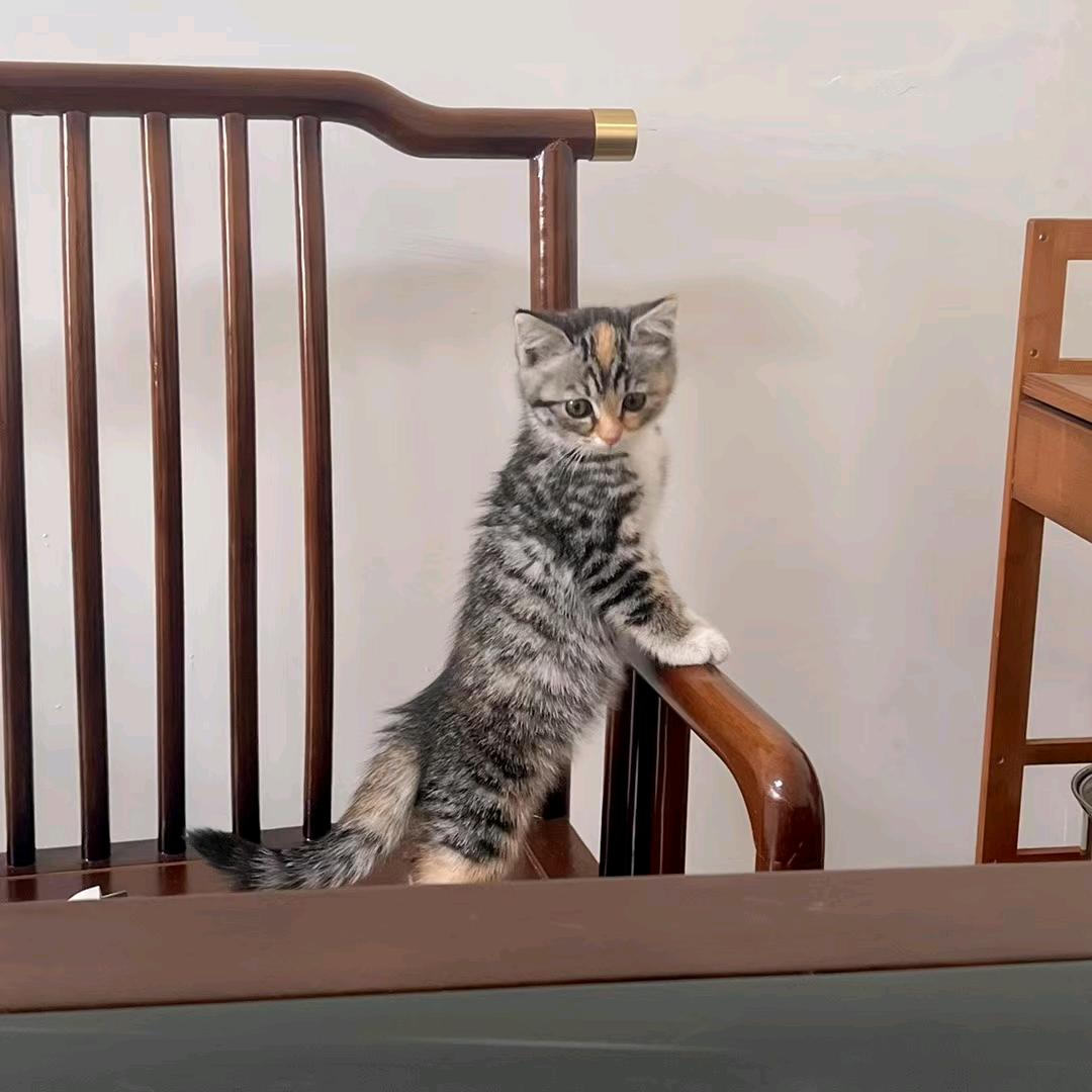 云汀纸韵清洁纸品店