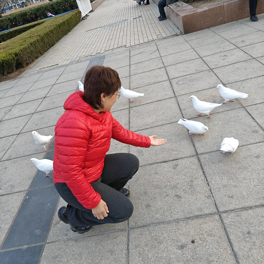 头等大事s