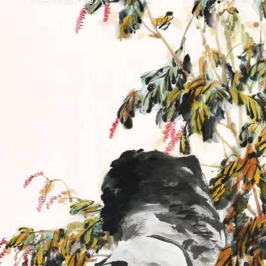拼搏的妞