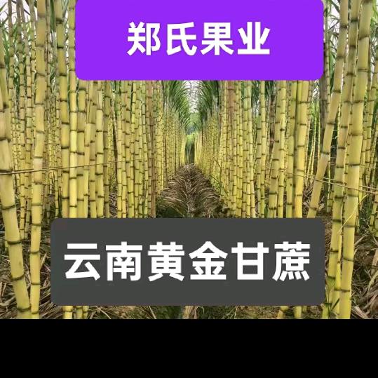 博力，钻头，开孔器，锯片五金工具批发部.