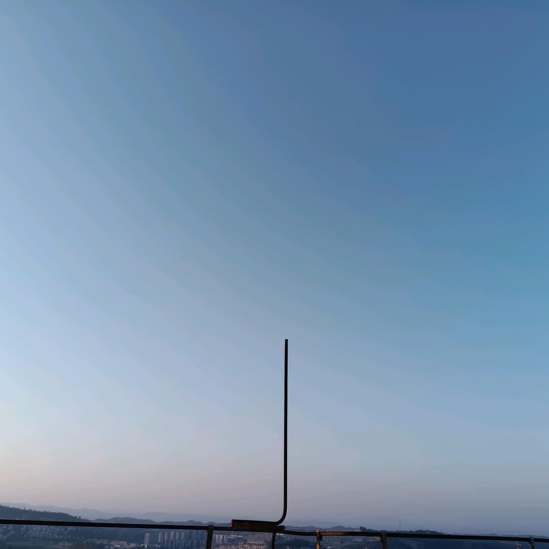 鱼鱼