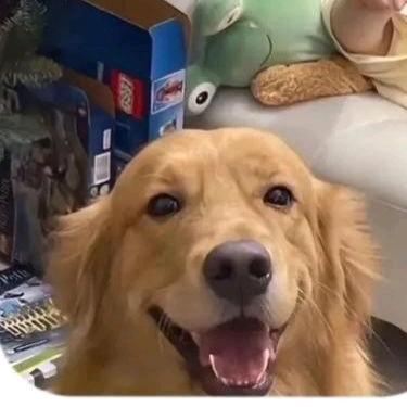 偷吃鼠