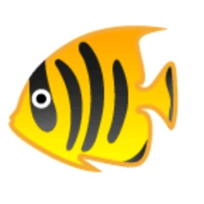 🐠🐠🐠🐠🐠🐠🐠🐠