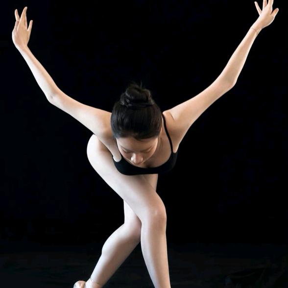 玉树临风一孤雀