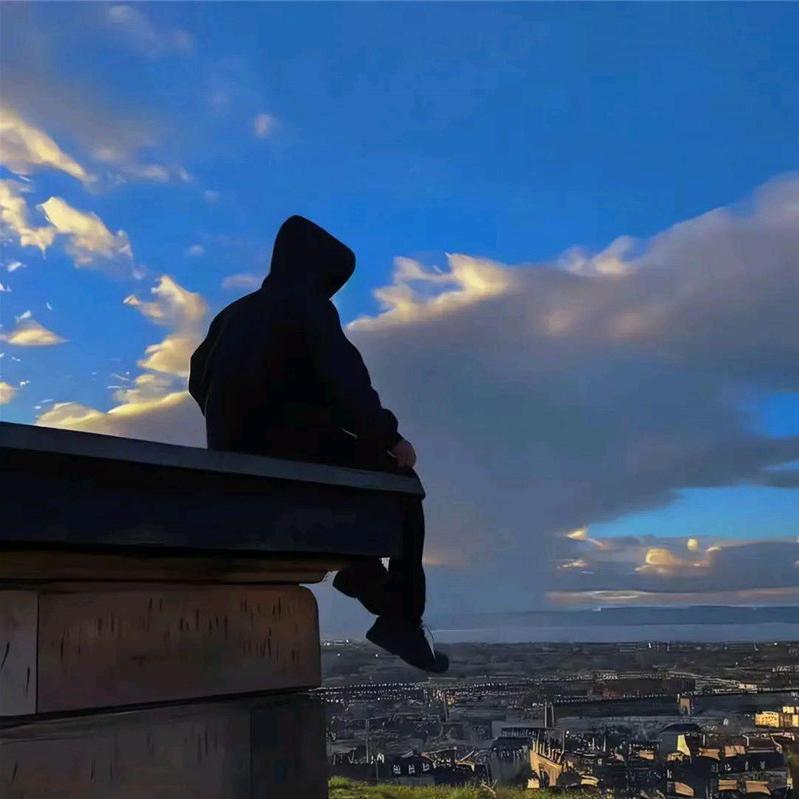 辰西努力码字（外卖版）