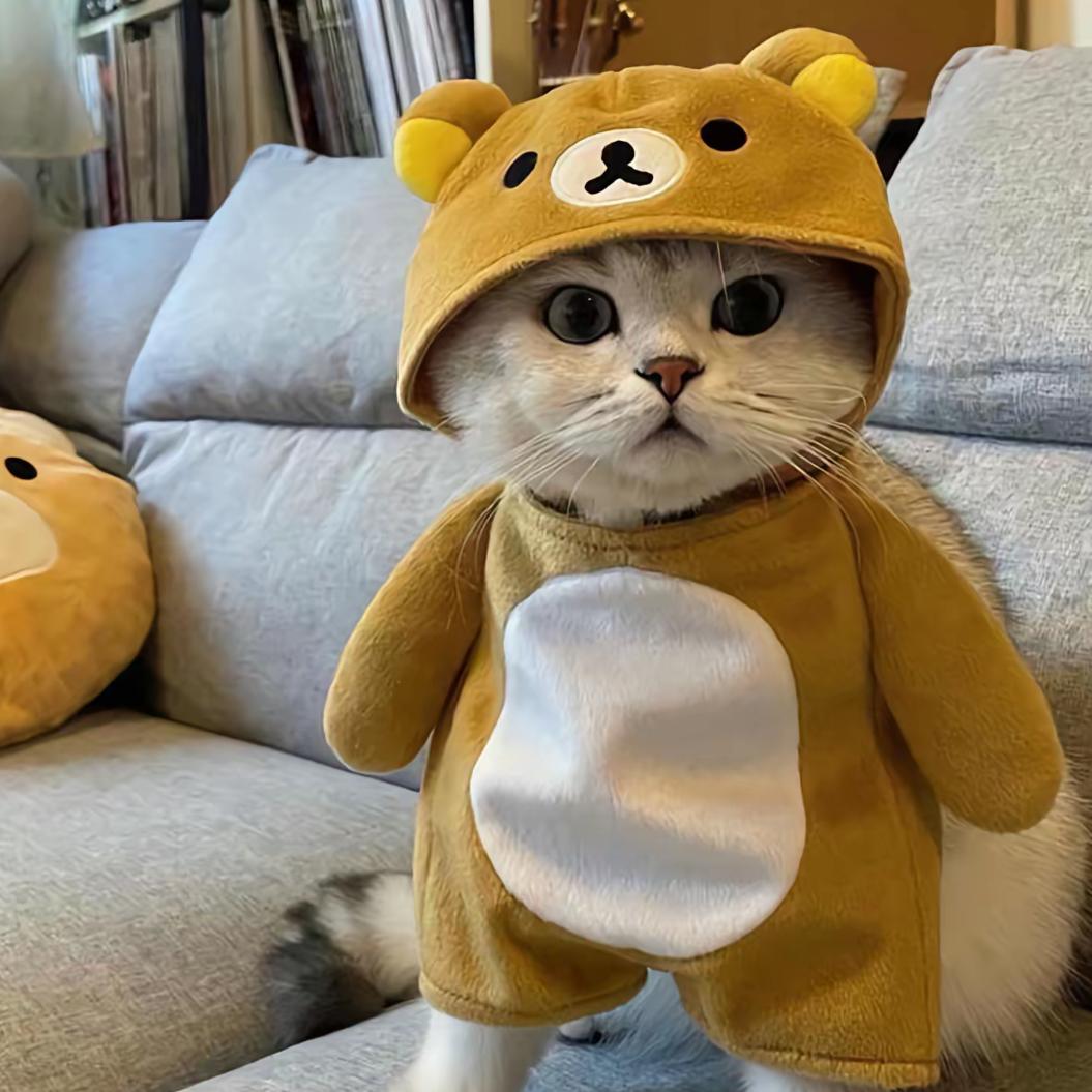 🍀运ঞৣ加满ღ