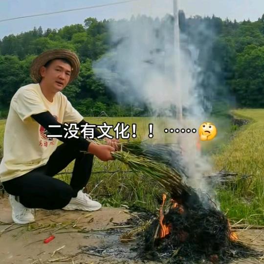 守村人小党