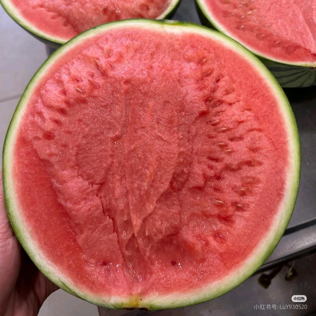 随遇而安