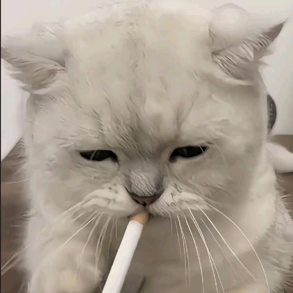 王林泩