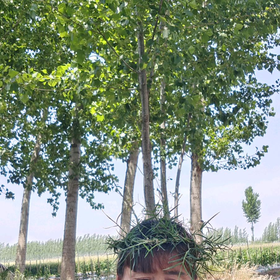 ༺❀💞妙十八💞❀༻