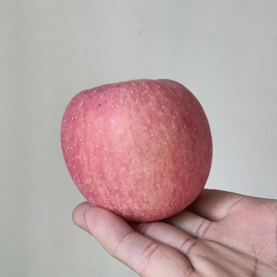 金锋