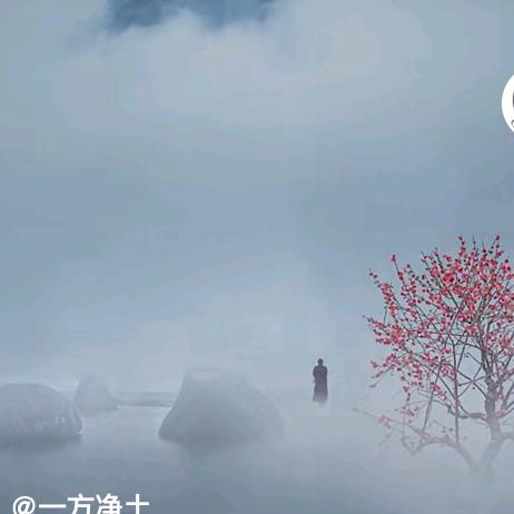 照夜君（三角洲跑刀）