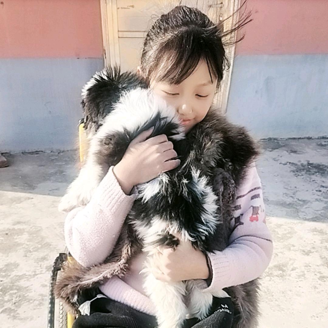 黑妞