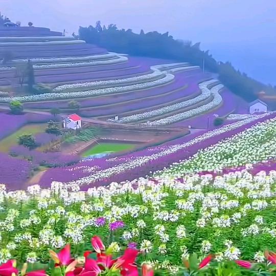 缘来缘去