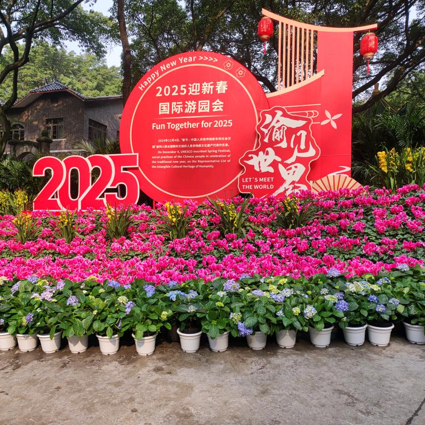 张琼