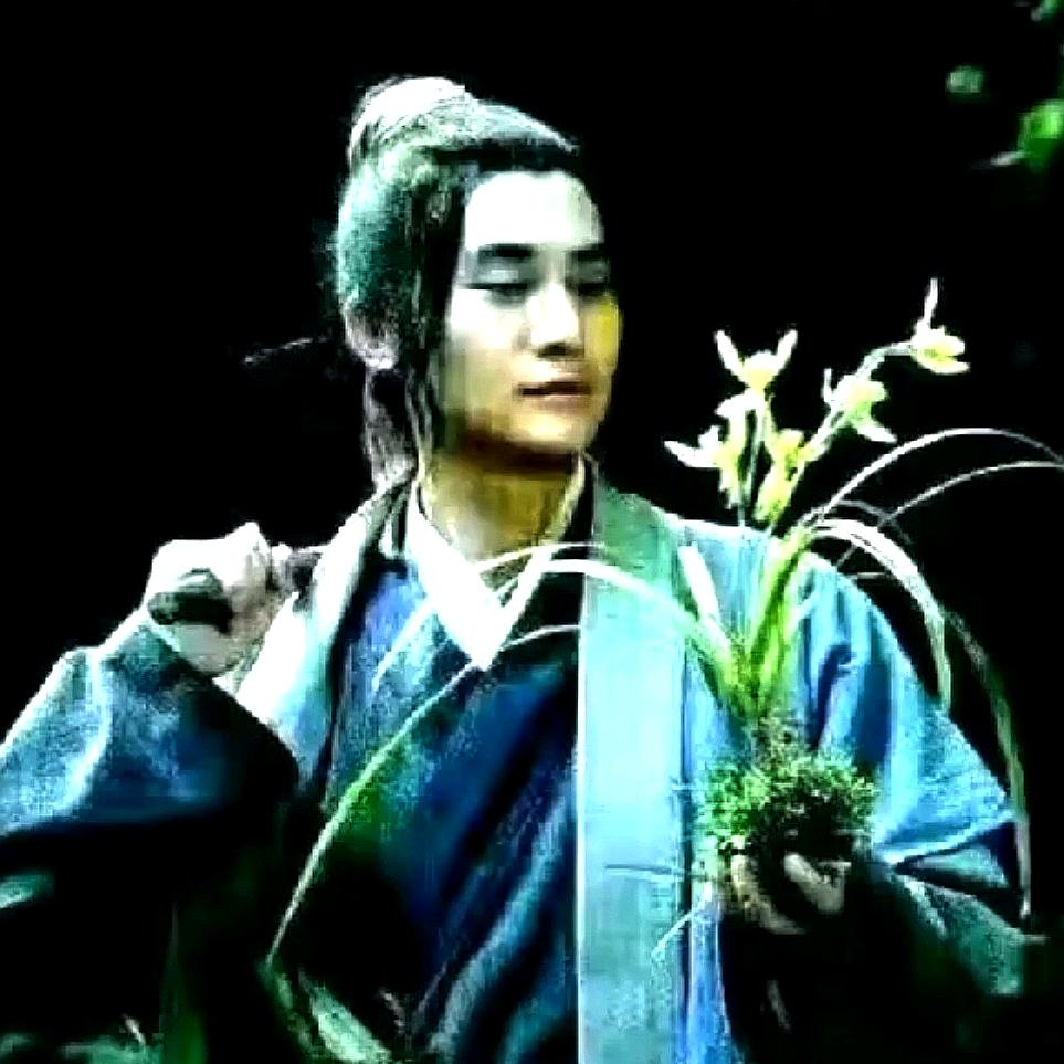 青峰养兰人