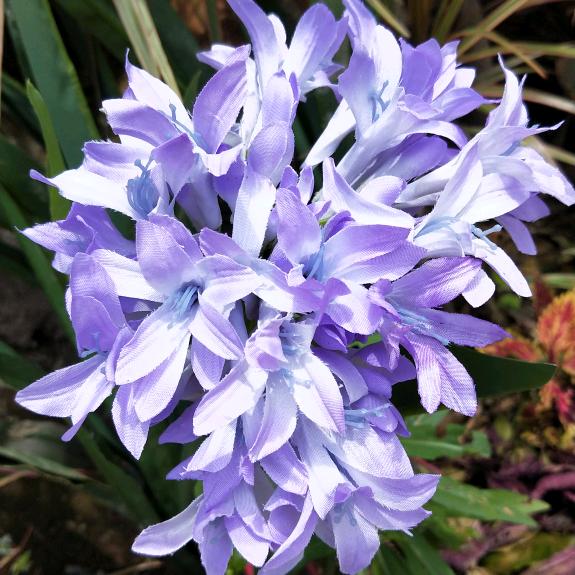 蛟龙转运🐍🐍🐍