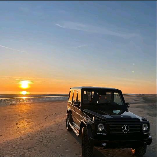 工程-罗哥-总包承建