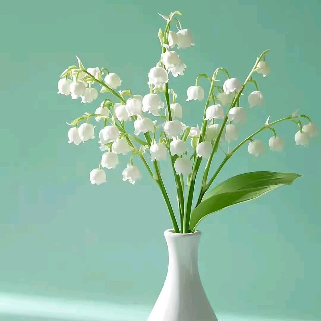 铃兰花开