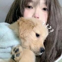 九知-公办院校李老师