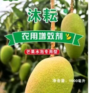 六宝老爸光头哥