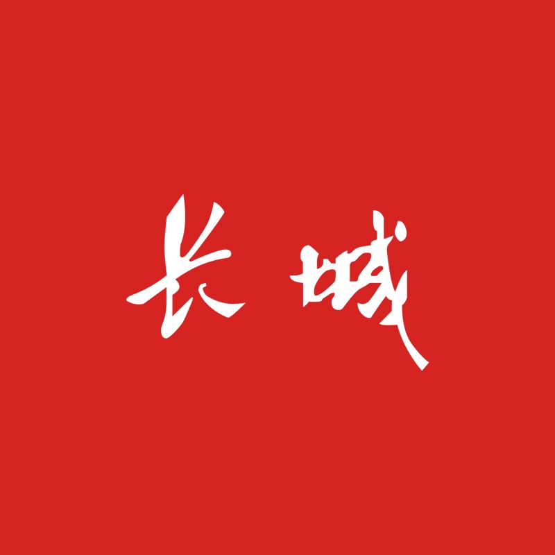 长城行车记录仪