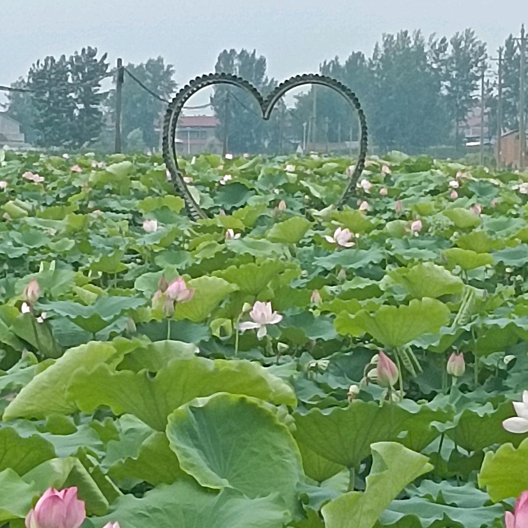 爱你一生