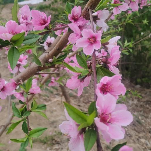 未来可期，加油！奥利给！