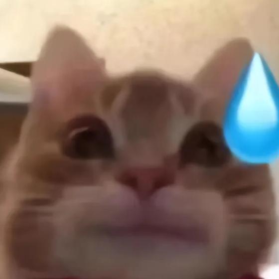 来杯酸奶