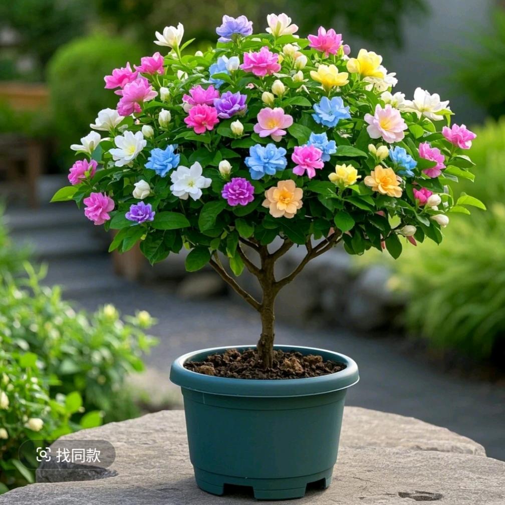 ꧁丛ℒℴѵℯ唐¹³¹⁴꧂