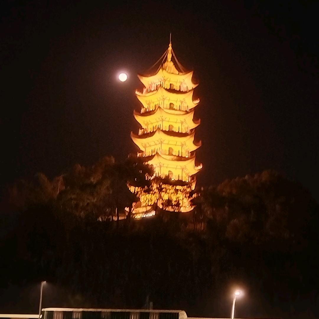 杜少韩