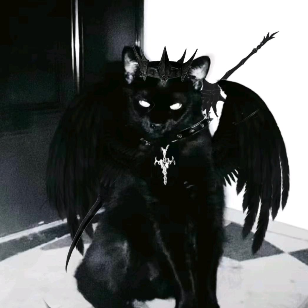 曜猪