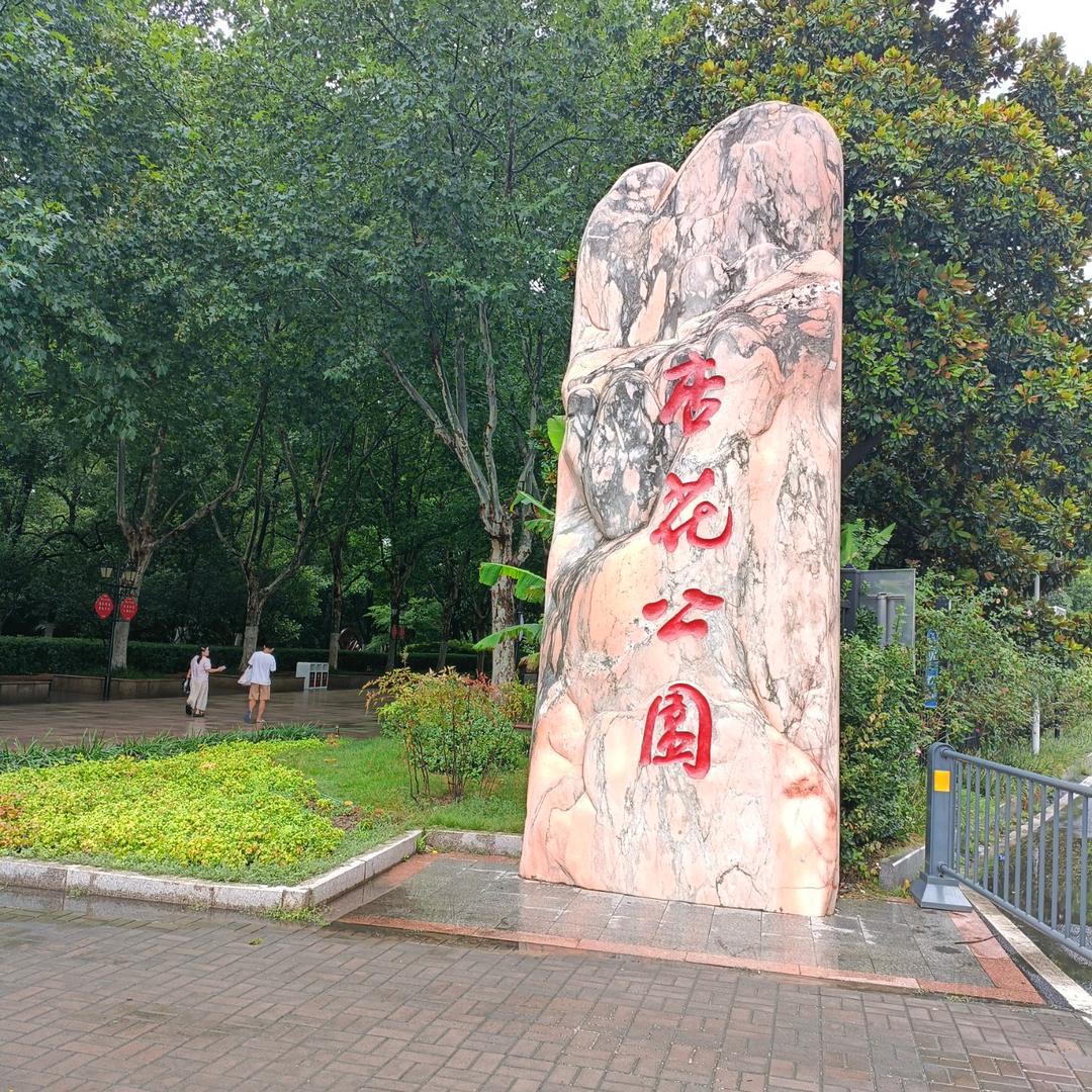 没有得到的爱