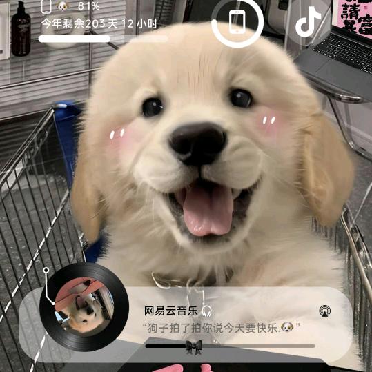 一路上有你