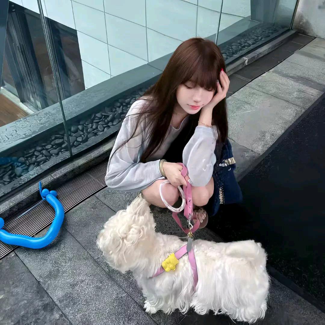 你怎么哭了