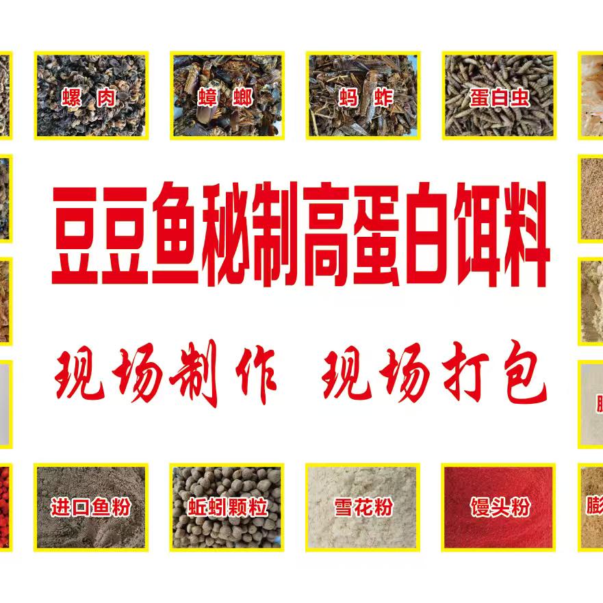 豆豆鱼饵料源头工厂