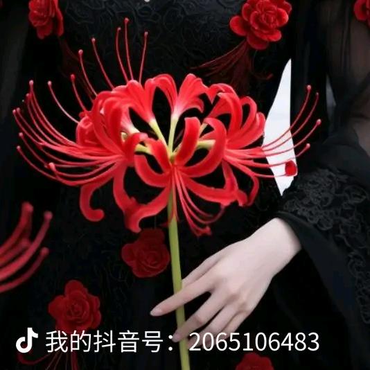 🥀₅²⁰一只小迷胡¹ᶟ₁₄