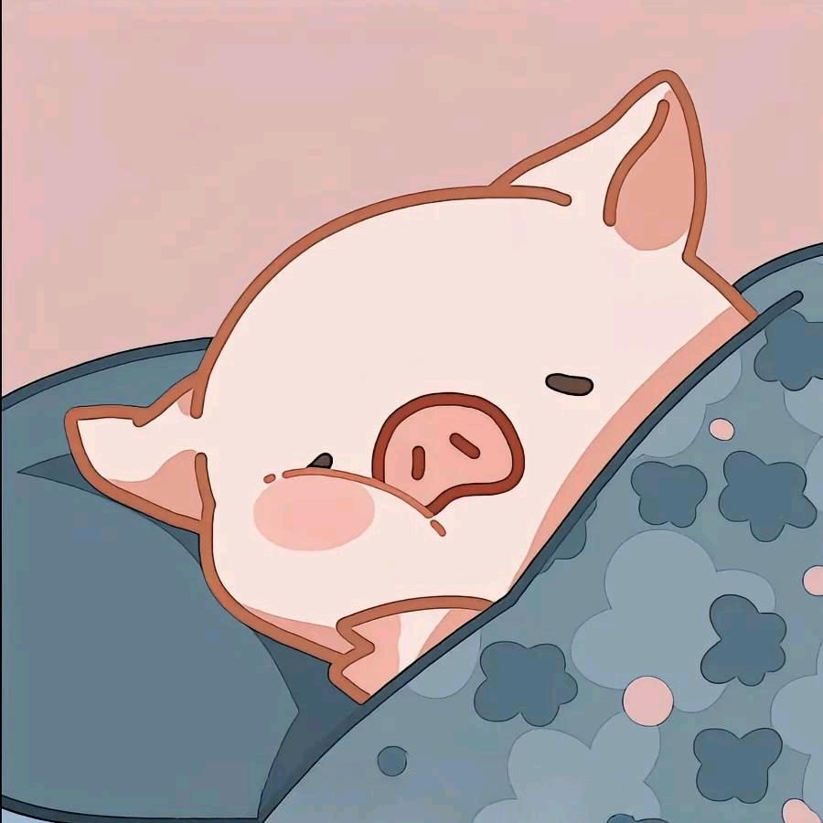 爱睡觉的🐷
