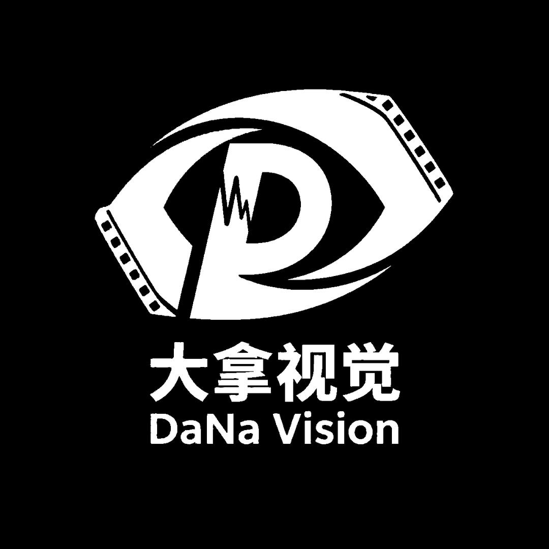 大拿视觉
