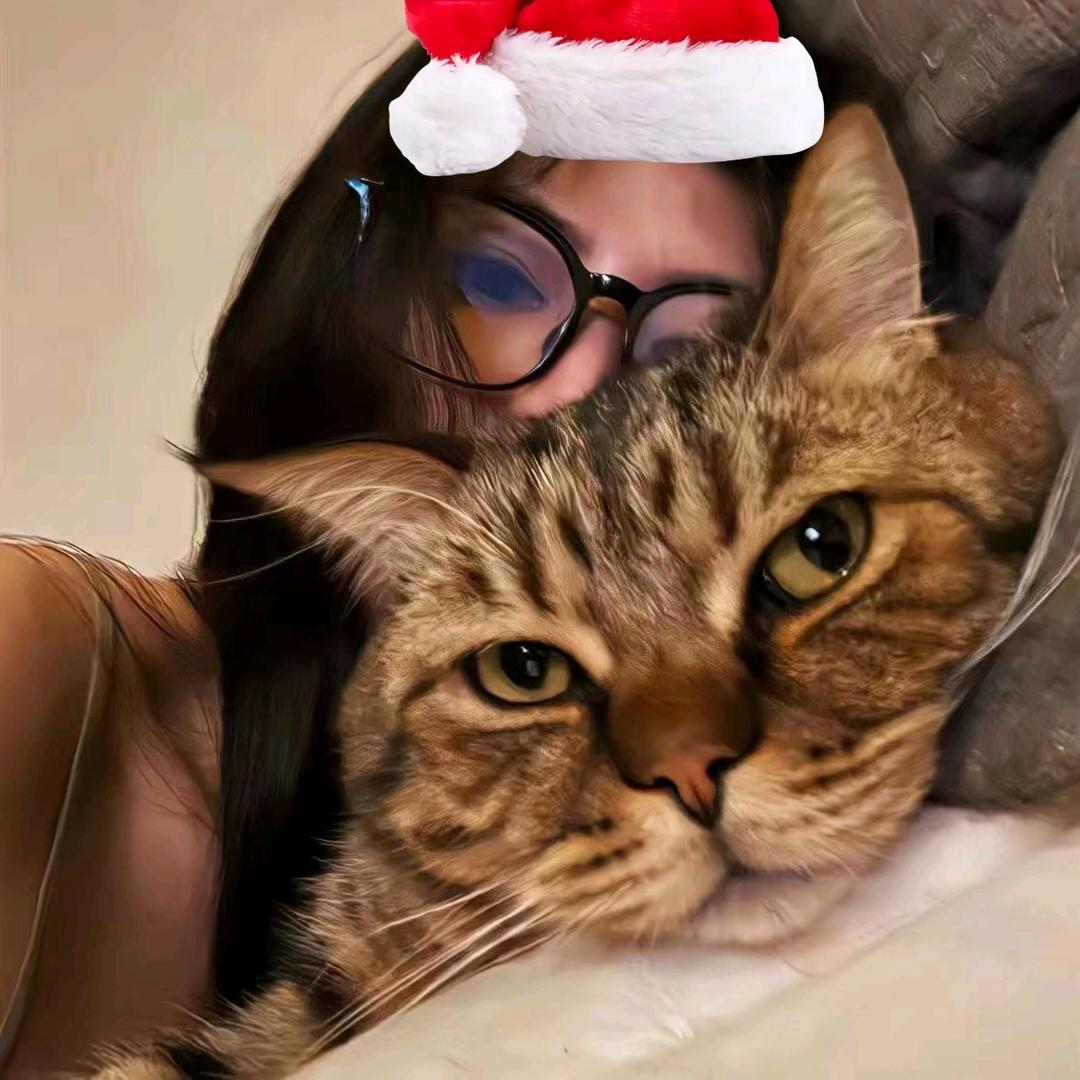 吃饱就困🐱