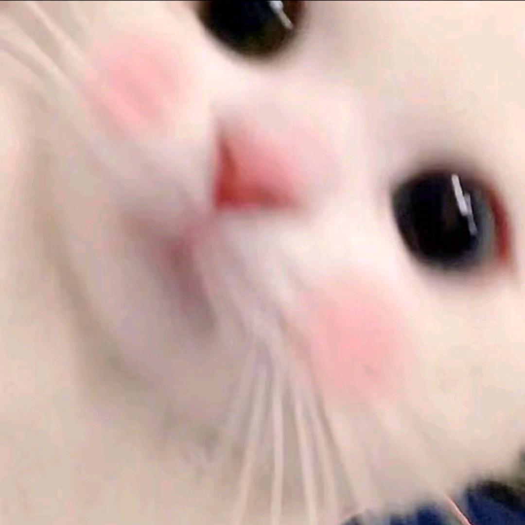 宿十四