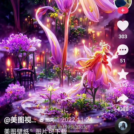 一片叶子