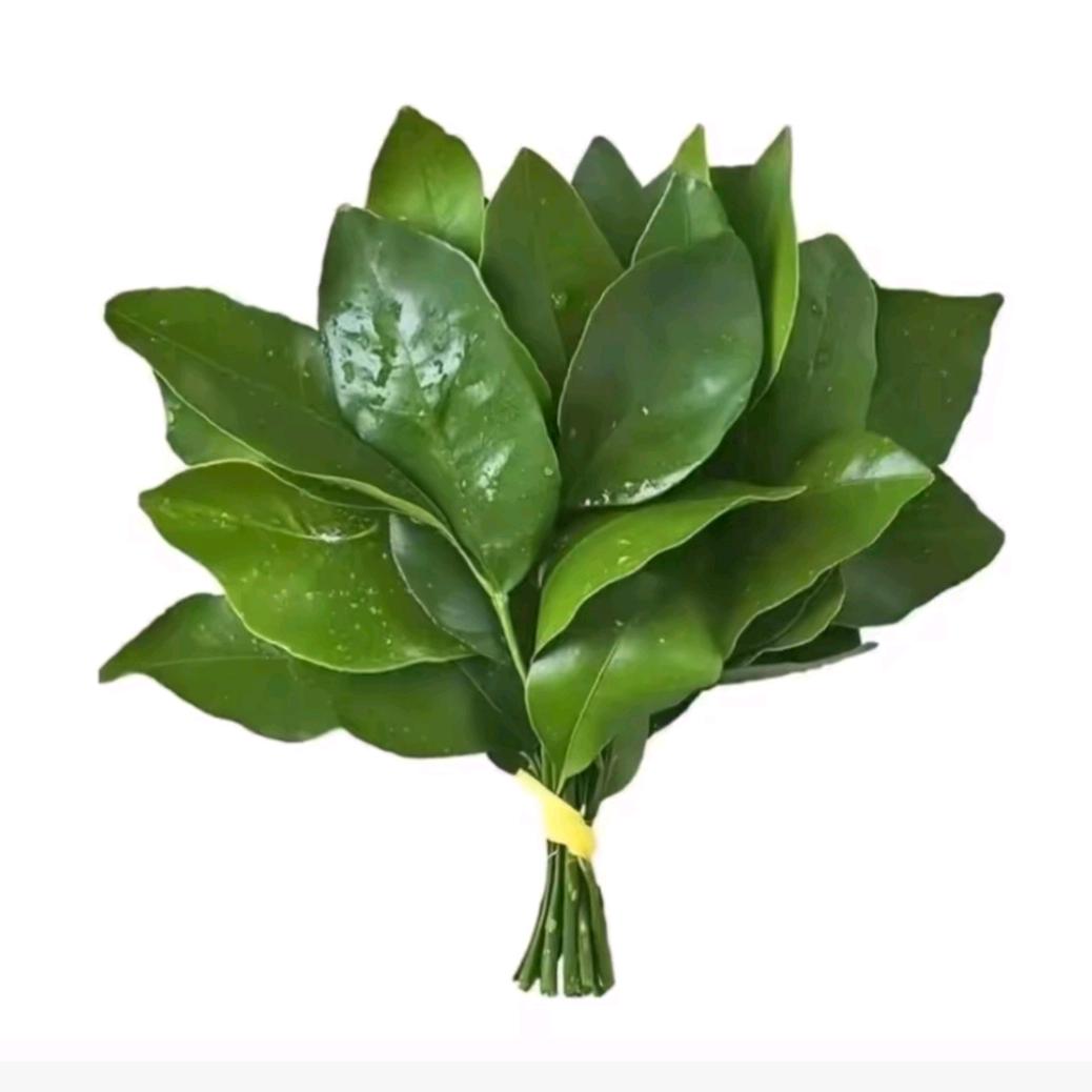 拾瓶子的小王同学