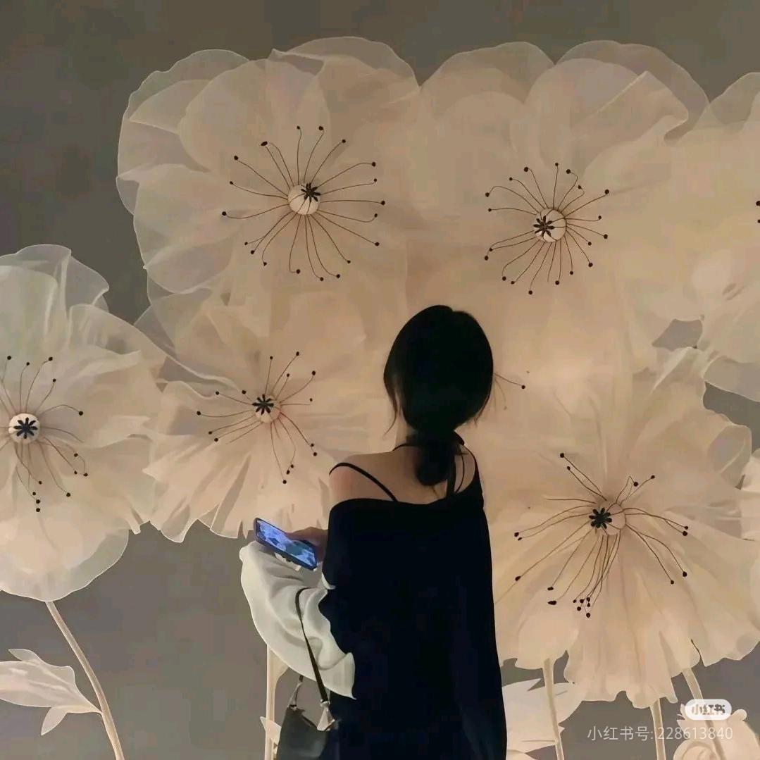 柒柒