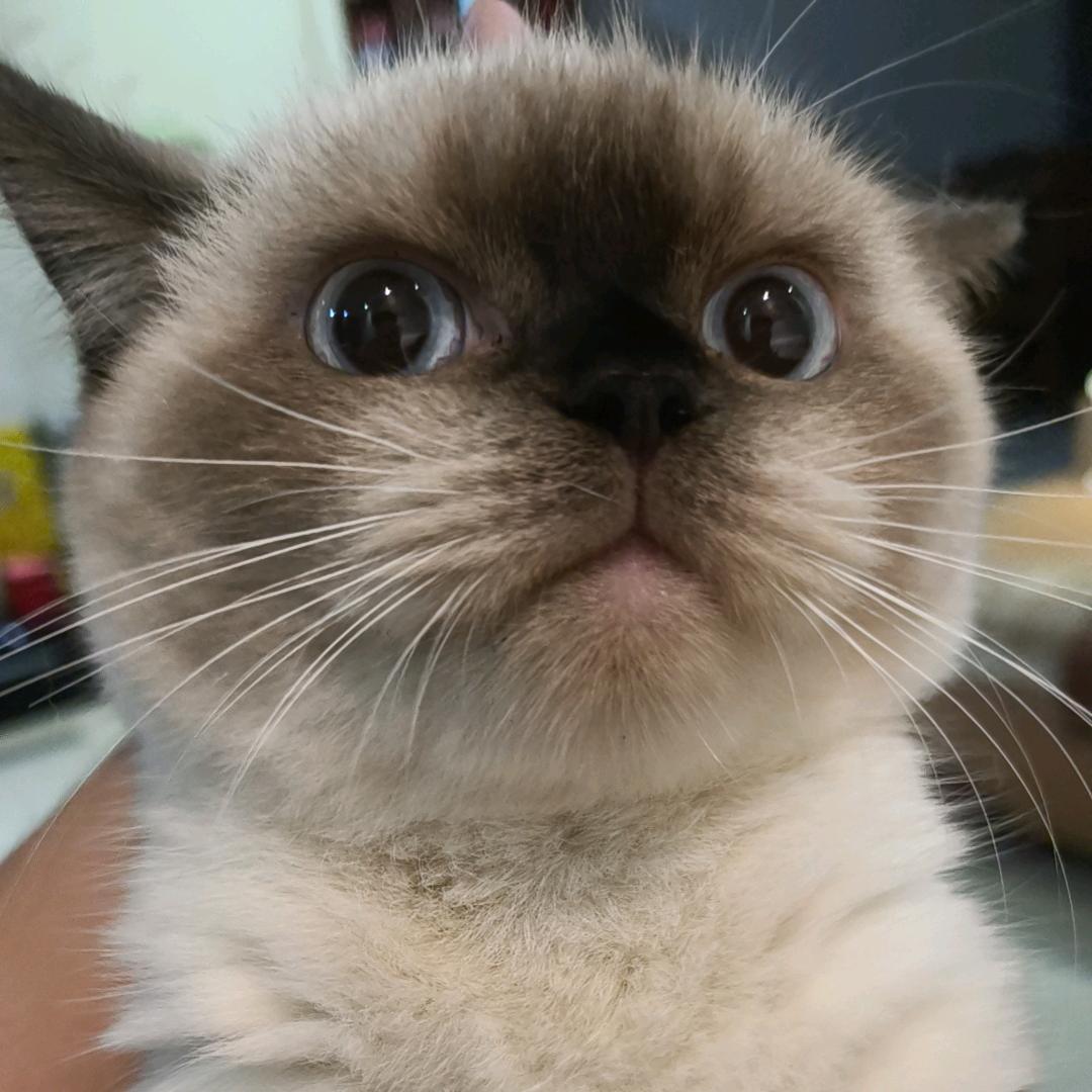 我要成为交易糕手