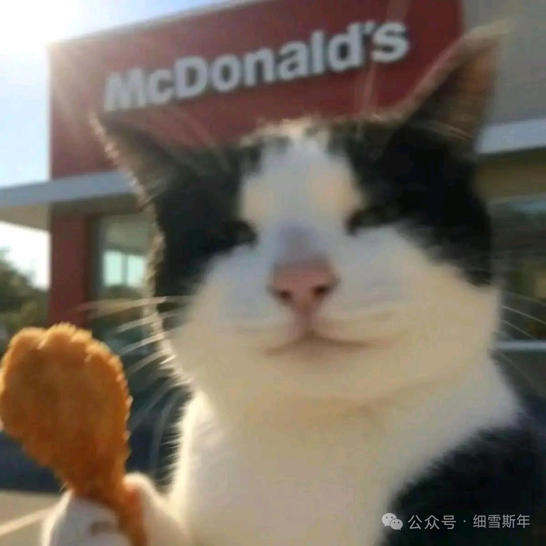 哈基米