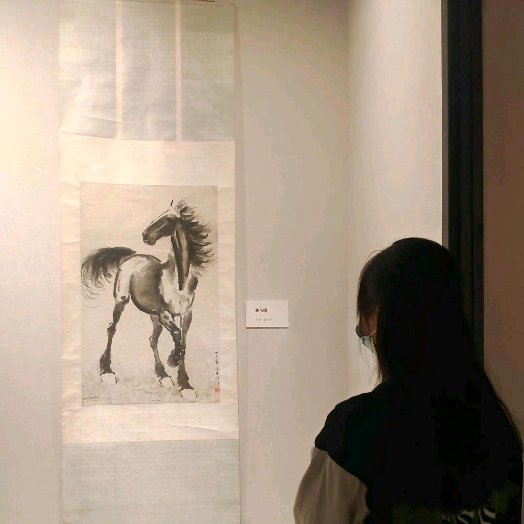 李李貌吗❔