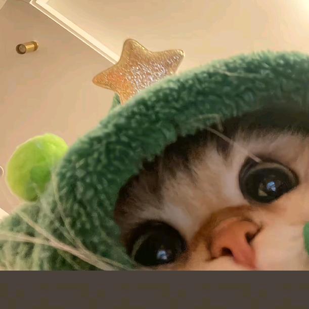 mi